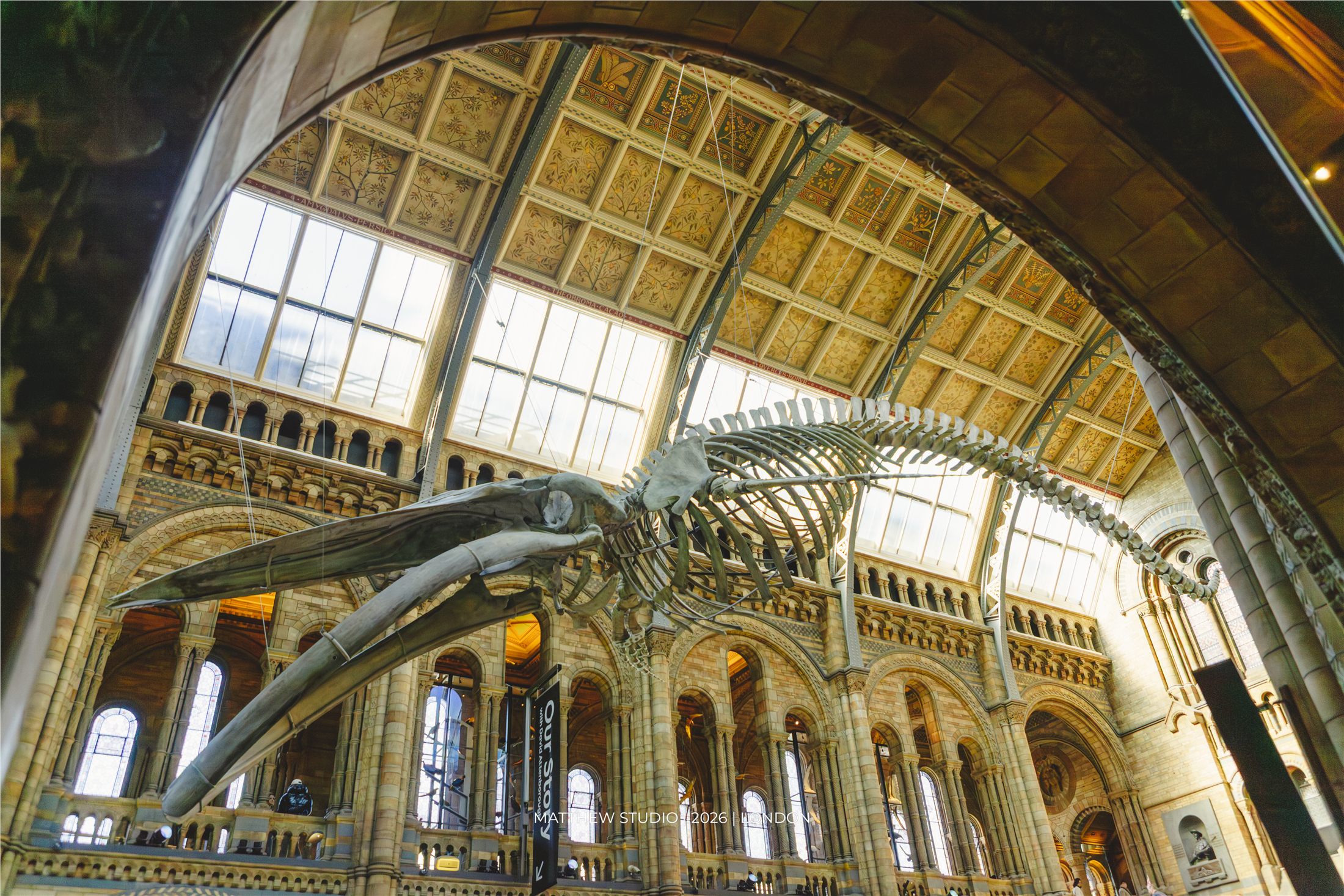 Natural History Museum